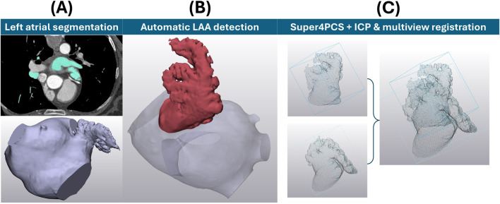 On preserving anatomical detail in statistical shape analysis for clustering: focus on left atrial appendage morphology.