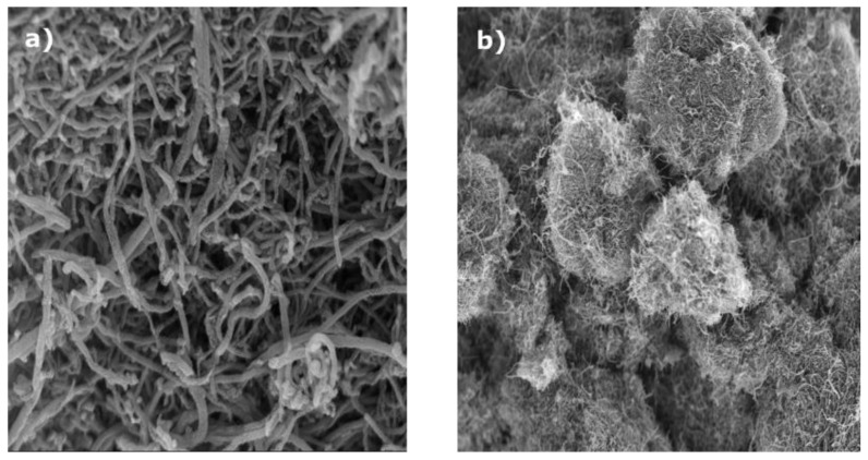 Platinum Group Metal (PGM) free multi metallic nanomaterial: a potential electrocatalyst for Ethanol Oxidation.