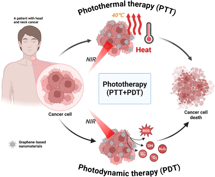 Research progress of graphene-based nanomaterials in the diagnosis and treatment of head and neck cancer.