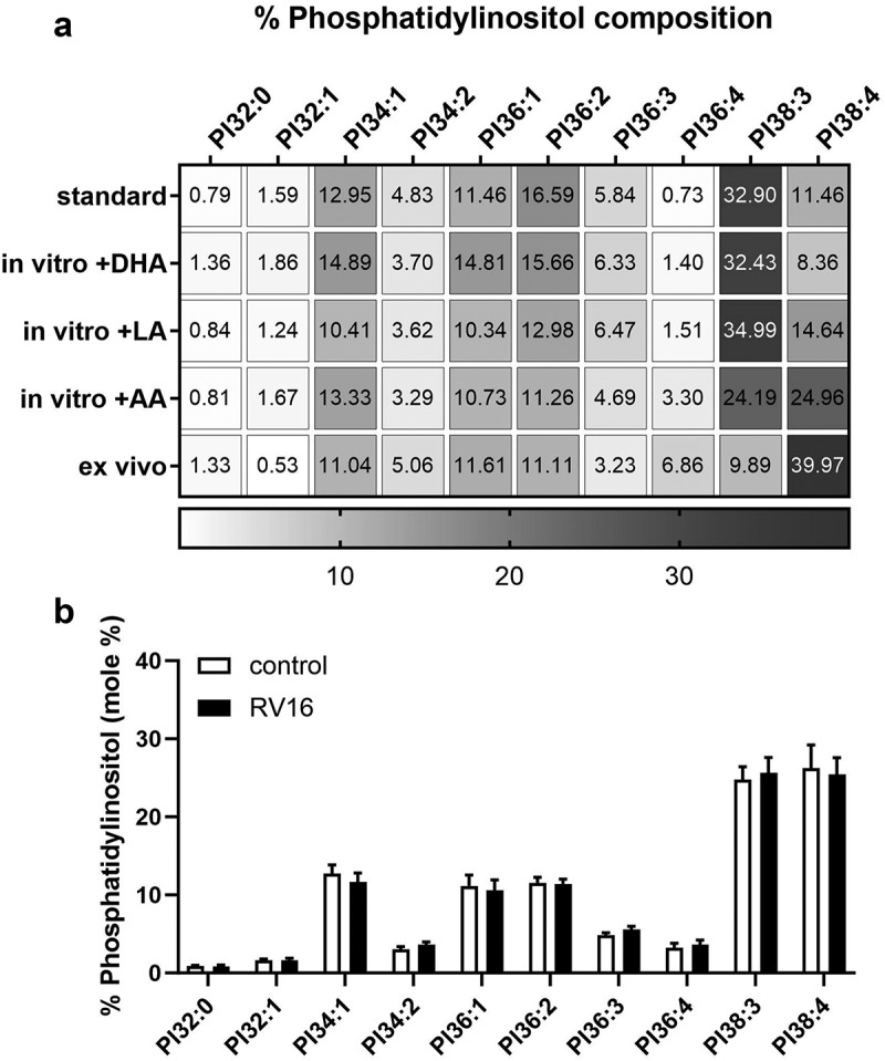 Membrane lipid composition of bronchial epithelial cells influences antiviral responses during rhinovirus infection.