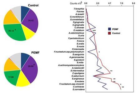 Pulsed Electromagnetic Therapy: Literature Review and Current Update.