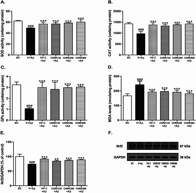 Clausena harmandiana root extract ameliorates Aβ<sub>1-42</sub> induced cognitive deficits, oxidative stress, and apoptosis in rats.