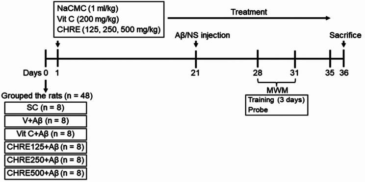 Clausena harmandiana root extract ameliorates Aβ<sub>1-42</sub> induced cognitive deficits, oxidative stress, and apoptosis in rats.