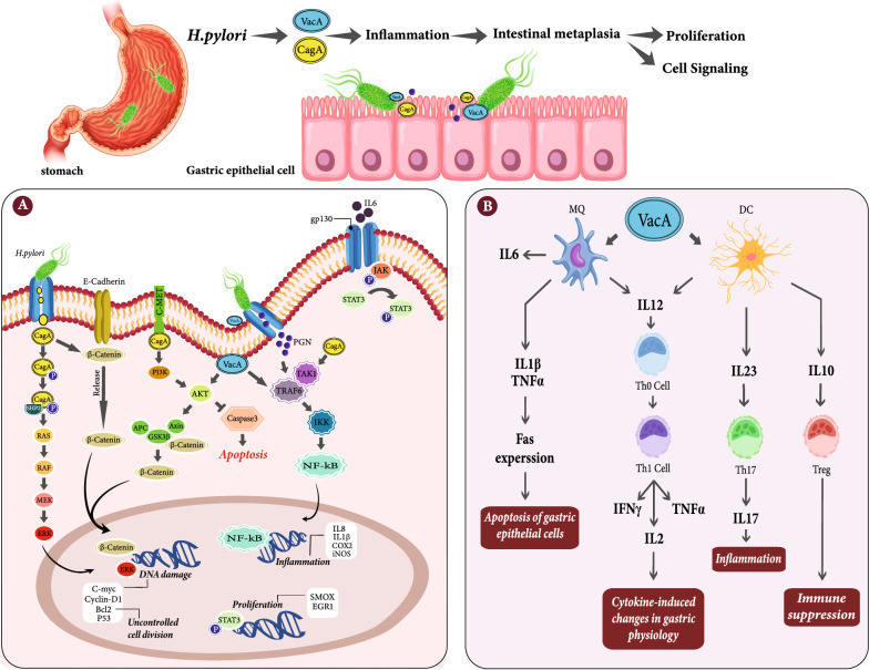Gastrointestinal cancer resistance to treatment: the role of microbiota.