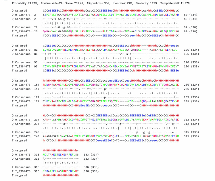 Malate dehydrogenase: a story of diverse evolutionary radiation.