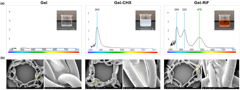 Potentiality of Antibacterial Gels for the Prophylactic Coating of Hernia Repair Prosthetic Materials.