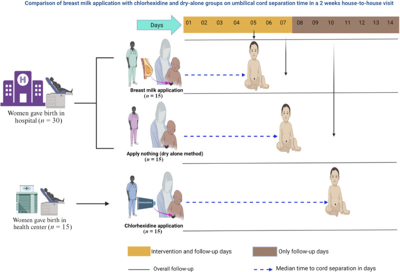Breast Milk Application as a Natural Method for Umbilical Cord Care: A Community-Label 3-Arm Pilot Clinical Trial.