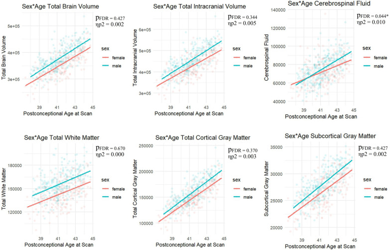 Sex Differences in Human Brain Structure at Birth.