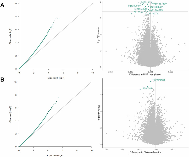 Association between maternal perinatal stress and depression and infant DNA methylation in the first year of life.