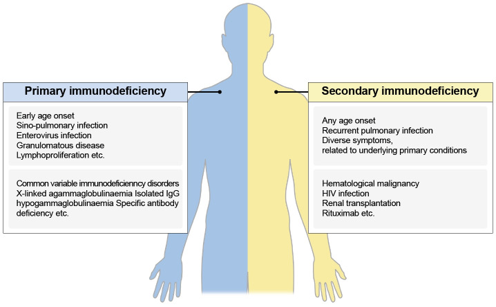 Secondary Immunodeficiency and Non-cystic Fibrosis Bronchiectasis.