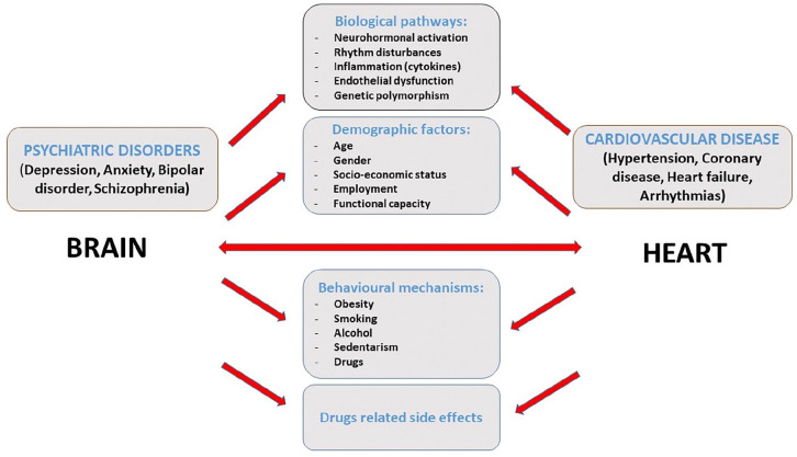 Cardiovascular disease and psychiatric disorders: An-up-to date review.