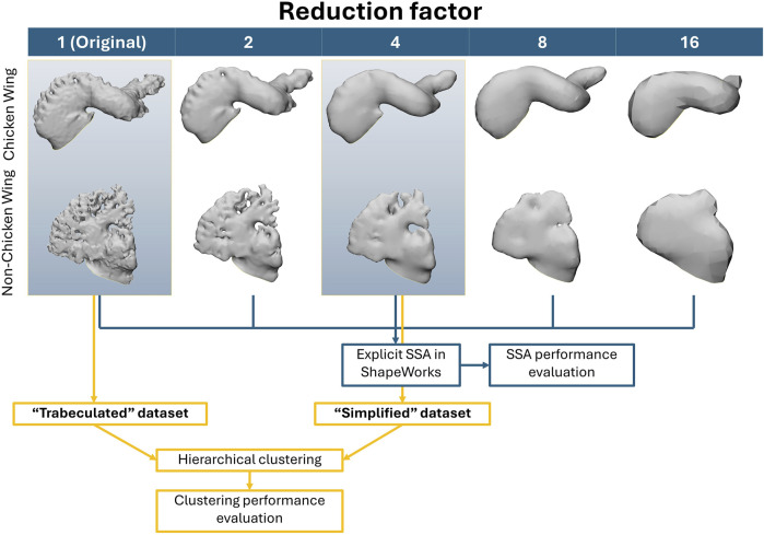 On preserving anatomical detail in statistical shape analysis for clustering: focus on left atrial appendage morphology.