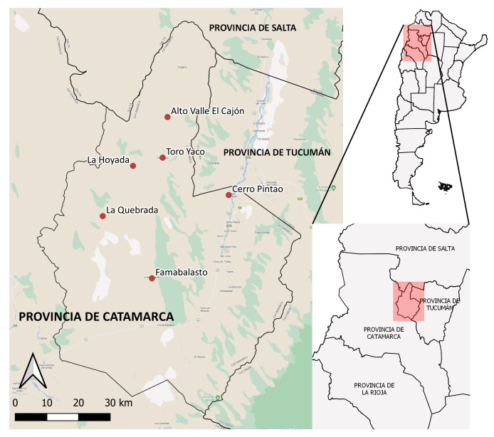Covid-19 and Diaguita communities: structural inequalities and (inter)community strategies in the Santa María department (Catamarca, Argentina).