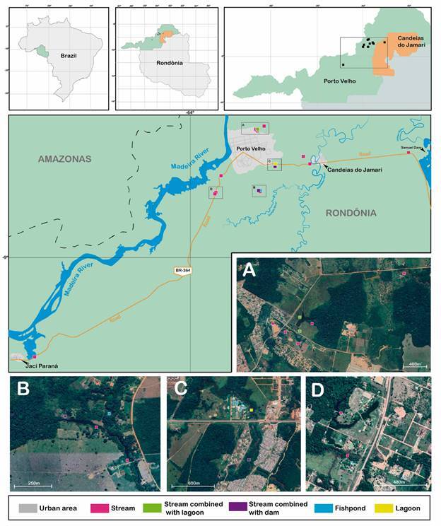 Characterization of larval habitats of Anopheles (Nyssorhynchus) darlingi and associated species in malaria areas in western Brazilian Amazon.