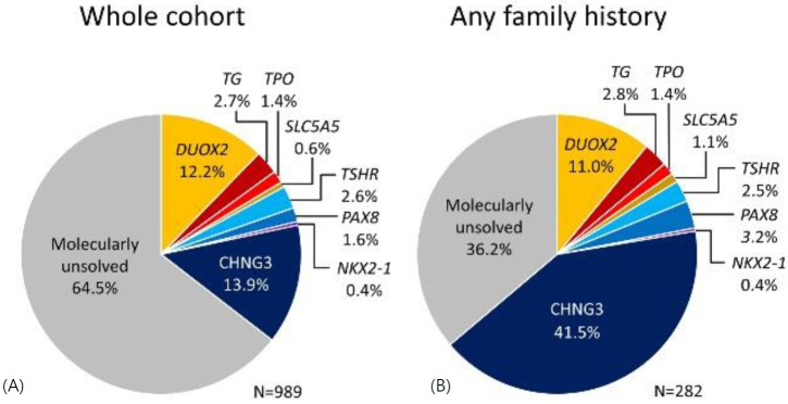 Deciphering the mystery of CHNG3.