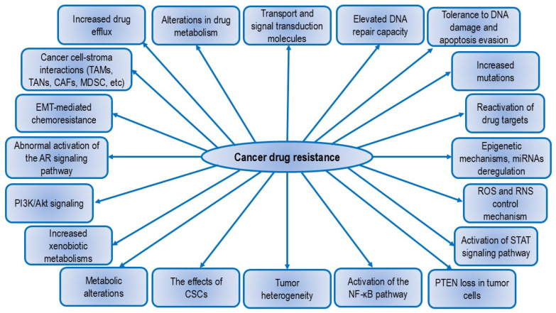 Potential Strategies for Overcoming Drug Resistance Pathways Using Propolis and Its Polyphenolic/Flavonoid Compounds in Combination with Chemotherapy and Radiotherapy.