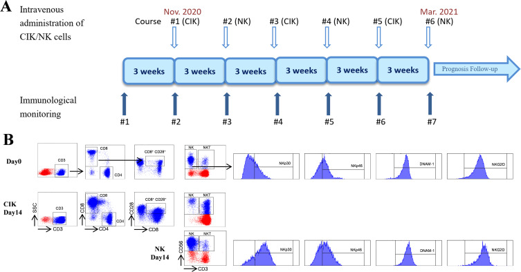 Sequential Autologous CIK/NK Cells Combined with Chemotherapy to Induce Long-Term Tumor Control in Advanced Rectal Cancer: A Case Report.