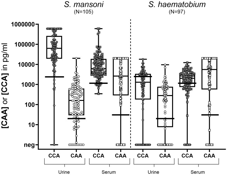 Detecting two <i>Schistosoma</i> circulating antigens - CCA and CAA - in urine and serum to improve diagnosis of human schistosomiasis.