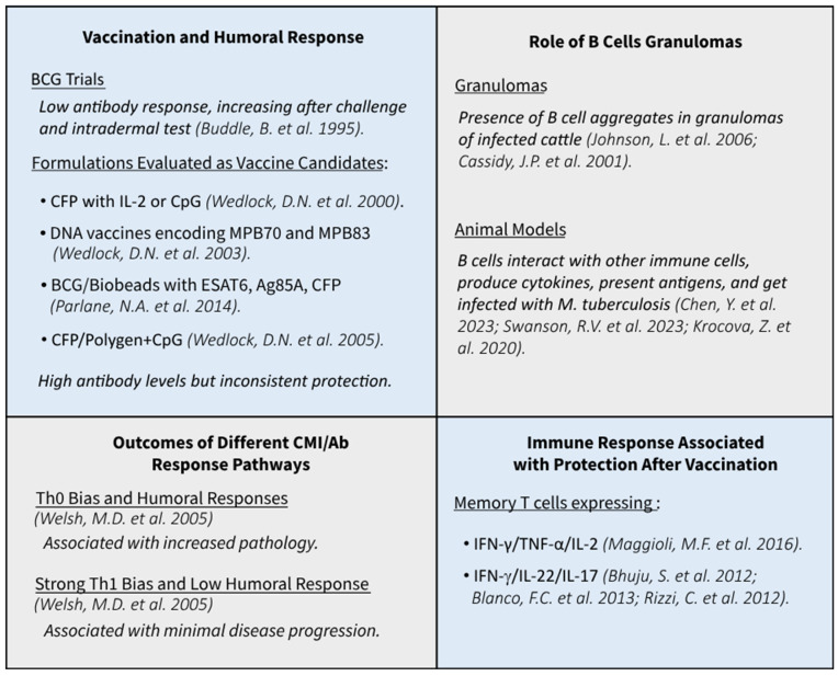 B Cell and Antibody Responses in Bovine Tuberculosis.