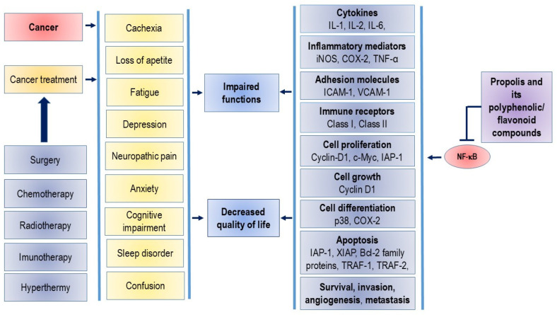 Potential Strategies for Overcoming Drug Resistance Pathways Using Propolis and Its Polyphenolic/Flavonoid Compounds in Combination with Chemotherapy and Radiotherapy.