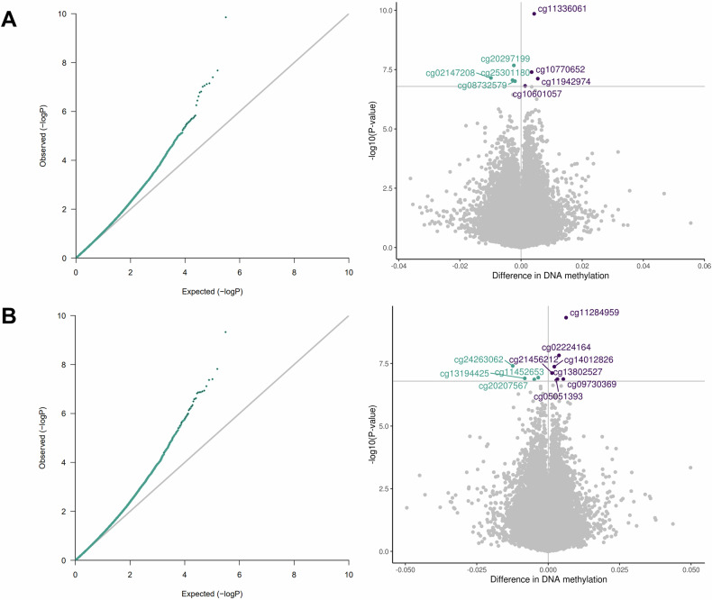 Association between maternal perinatal stress and depression and infant DNA methylation in the first year of life.