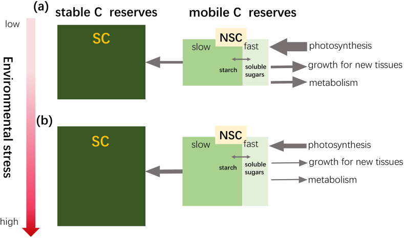 The third dimension of alpine plant leaf traits is related to cold-tolerance.