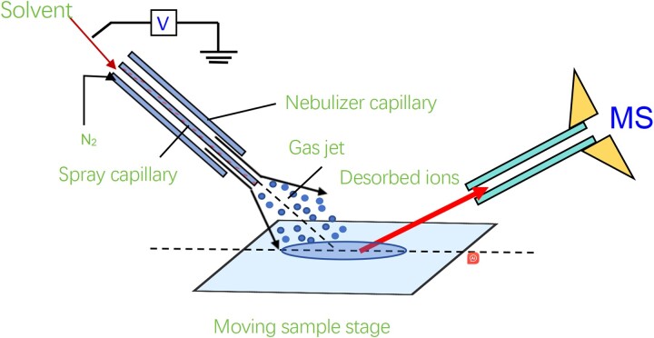 An experimental study on distinguishing gel pen ink stains using desorption electrospray ionization mass spectroscopy combined with the <i>K</i>-means algorithm.