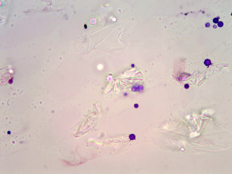 Abstract Image