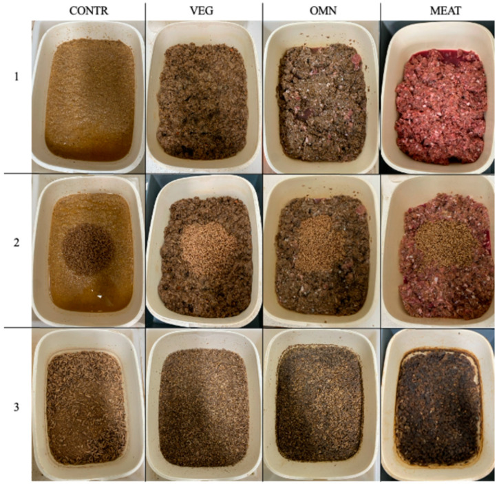 A First Step Towards Black Soldier Fly Larvae (Diptera: Stratiomyidae) Welfare by Considering Dietary Regimes (Part I).