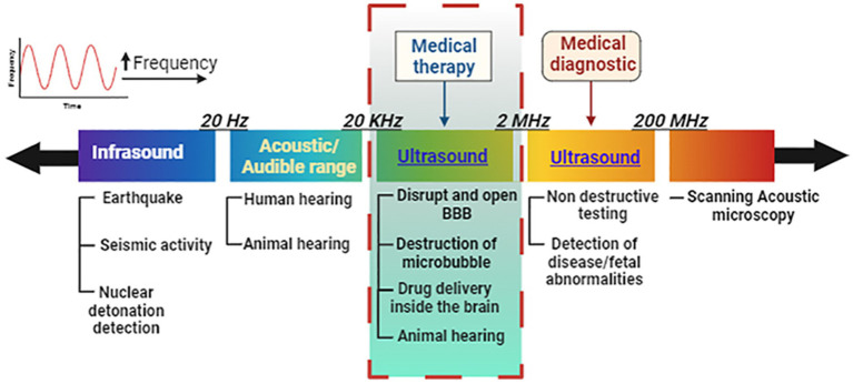 Therapeutic ultrasound: an innovative approach for targeting neurological disorders affecting the basal ganglia.
