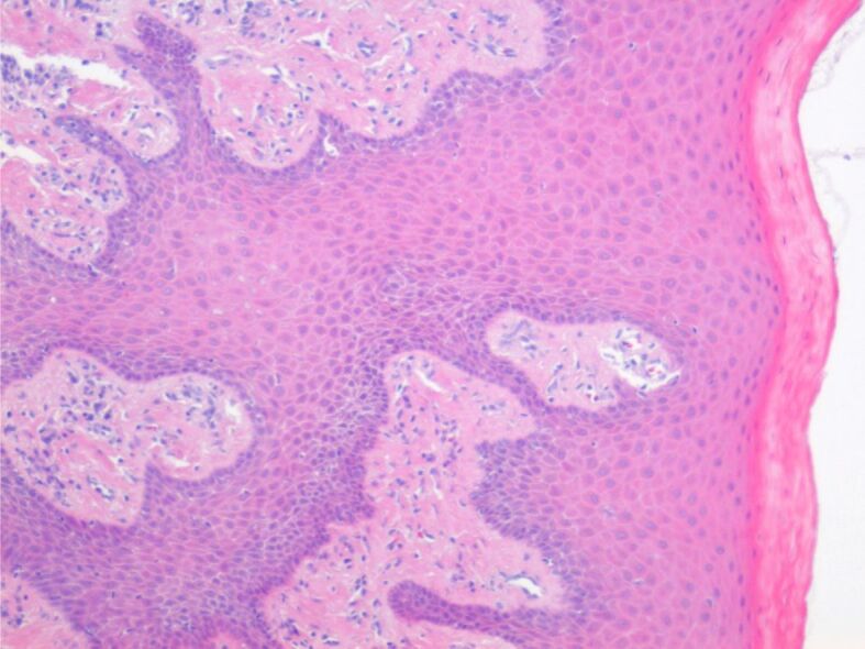 Abstract Image