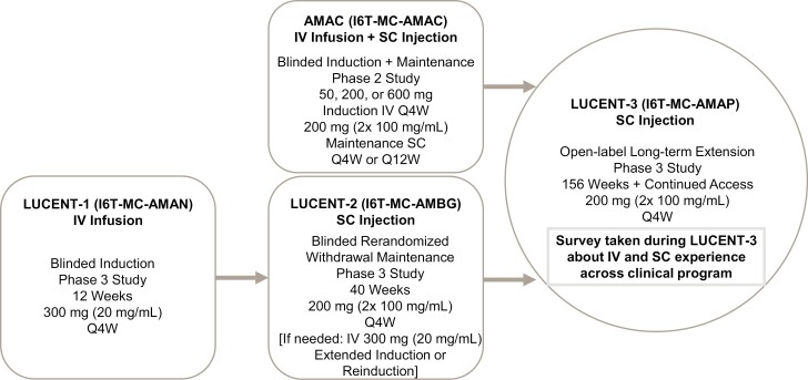 Patient and Healthcare Professional Satisfaction, Acceptability, and Preference Experiences With Mirikizumab Administration for Ulcerative Colitis: An International Survey.