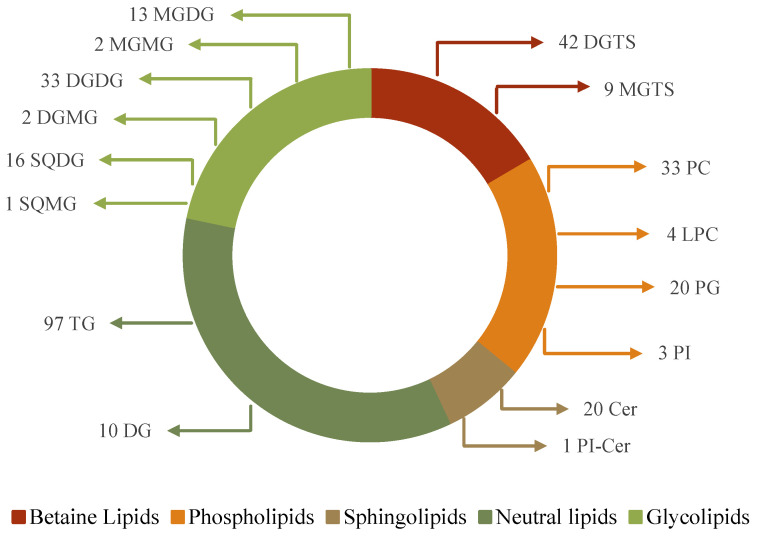 Bioactive Lipids in <i>Dunaliella salina</i>: Implications for Functional Foods and Health.