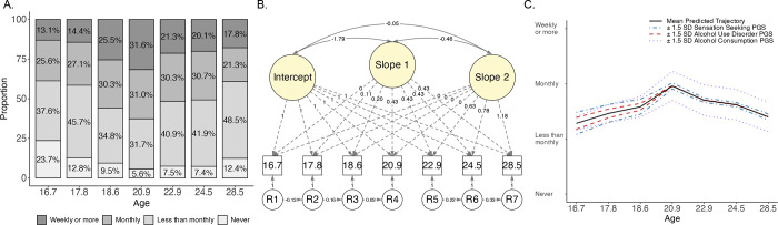 Binge drinking trajectories across adolescence and early adulthood: Associations with genetic influences for dual-systems impulsive personality traits, alcohol consumption, and alcohol use disorder.