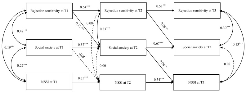 How Is Rejection Sensitivity Linked to Non-Suicidal Self-Injury? Exploring Social Anxiety and Regulatory Emotional Self-Efficacy as Explanatory Processes in a Longitudinal Study of Chinese Adolescents.