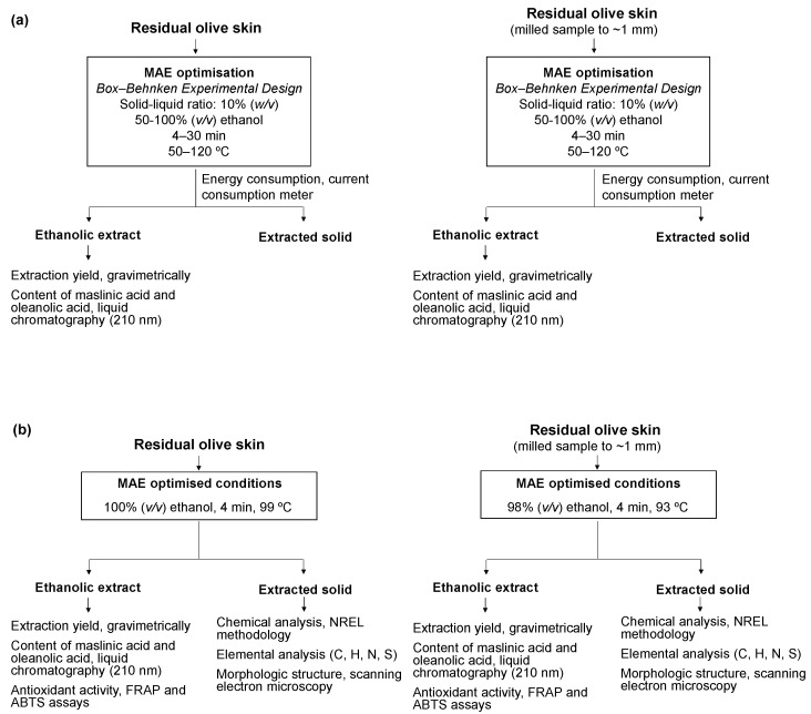Lower Energy-Demanding Extraction of Bioactive Triterpene Acids by Microwave as the First Step towards Biorefining Residual Olive Skin.
