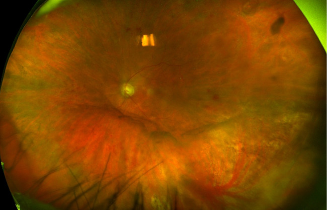 Abstract Image