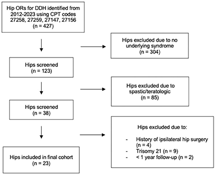 Outcomes of open reduction for hip dislocations in children with connective tissue disorders.