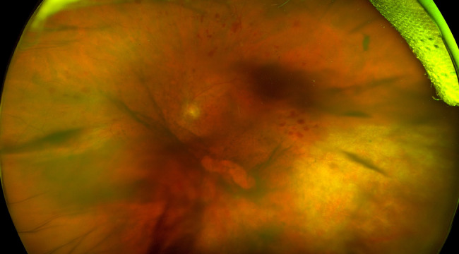 Abstract Image