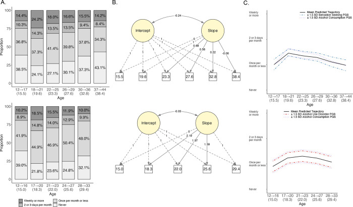 Binge drinking trajectories across adolescence and early adulthood: Associations with genetic influences for dual-systems impulsive personality traits, alcohol consumption, and alcohol use disorder.