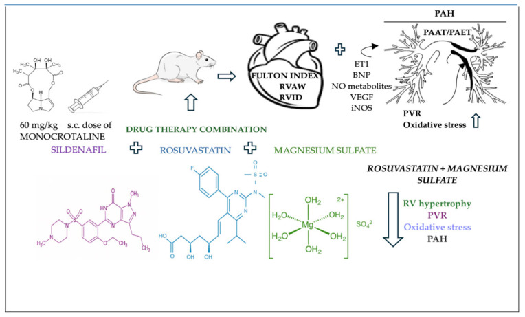 Monocrotaline-induced pulmonary arterial hypertension: the benefic effects of magnesium sulfate, Rosuvastatin and Sildenafil.