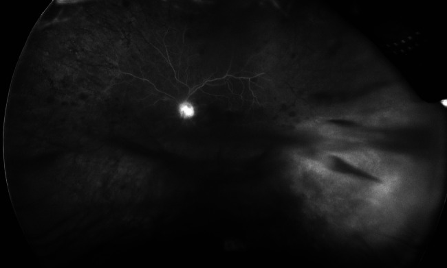 Abstract Image