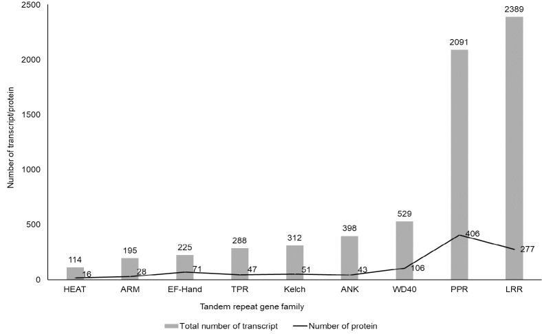 Transcriptome-wide Identification of Nine Tandem Repeat Protein Families in Roselle (<i>Hibiscus sabdariffa</i> L.).