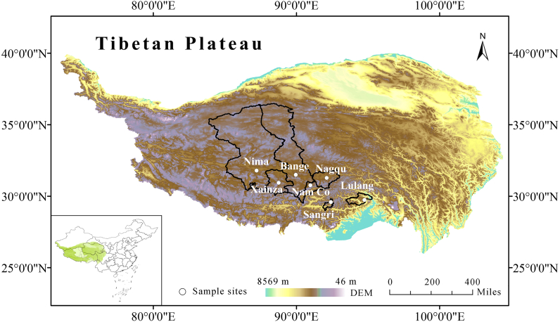 The third dimension of alpine plant leaf traits is related to cold-tolerance.