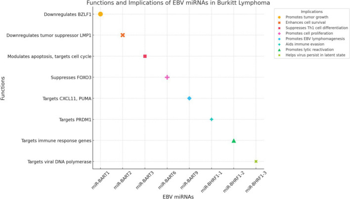 From virus to cancer: Epstein-Barr virus miRNA connection in Burkitt's lymphoma.