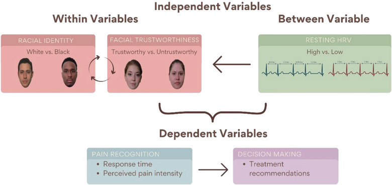 Racial biases, facial trustworthiness, and resting heart rate variability: unravelling complexities in pain recognition.