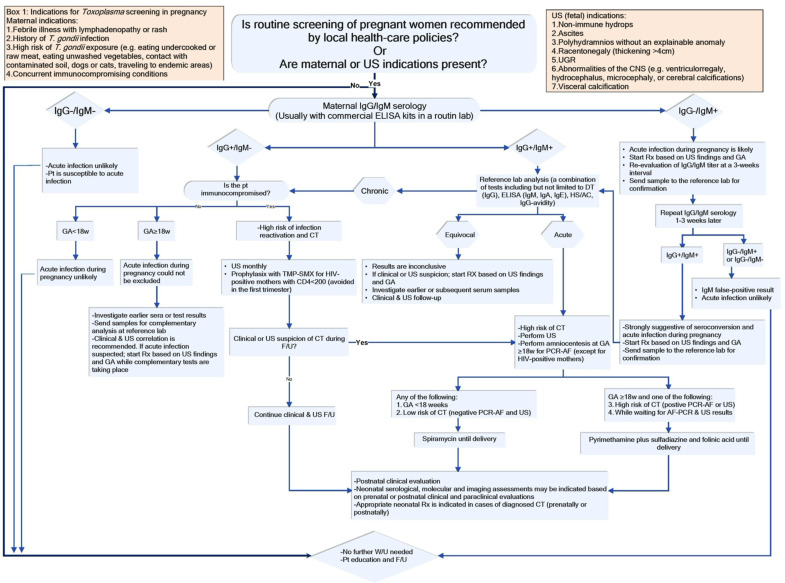 Current and Emerging Techniques for Diagnosis of Toxoplasmosis in Pregnancy: A Narrative Review.