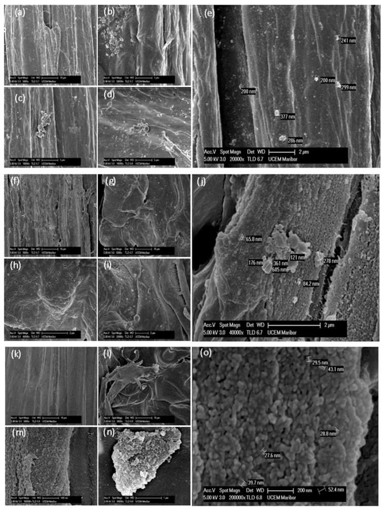 Isolation and Characterization of Nanocellulose from <i>Polypodiophyta</i> Fern Using Chemo-Mechanical Method.