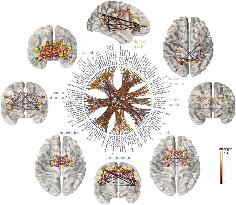 Developmental differences in canonical cortical networks: Insights from microstructure-informed tractography.
