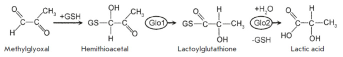 Reactive Byproducts of Plant Redox Metabolism and Protein Functions.